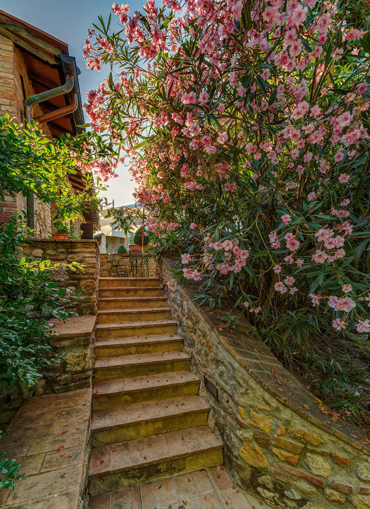 Agriturismo Casanova Di Pescille Сан-Джиміньяно Екстер'єр фото